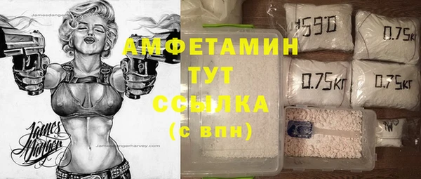 крисы Аркадак