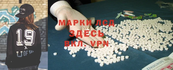крисы Аркадак