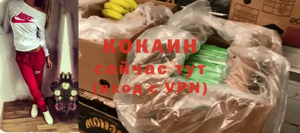 крисы Аркадак